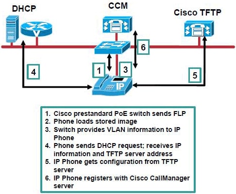 cisco phone dhcp options